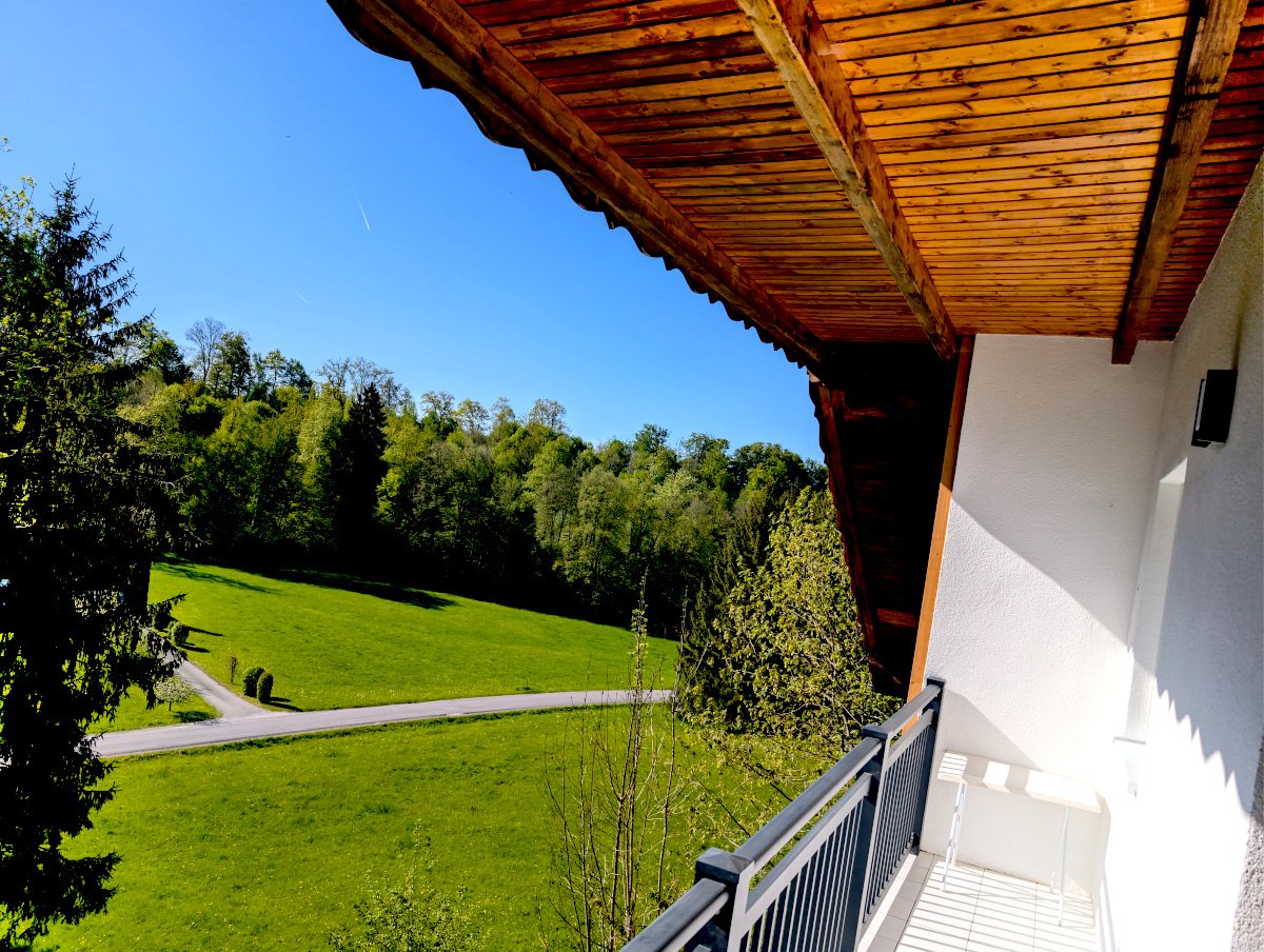 Blick vom überdachten Balkon auf saftig grüne Wiesen und den angrenzenden Wald